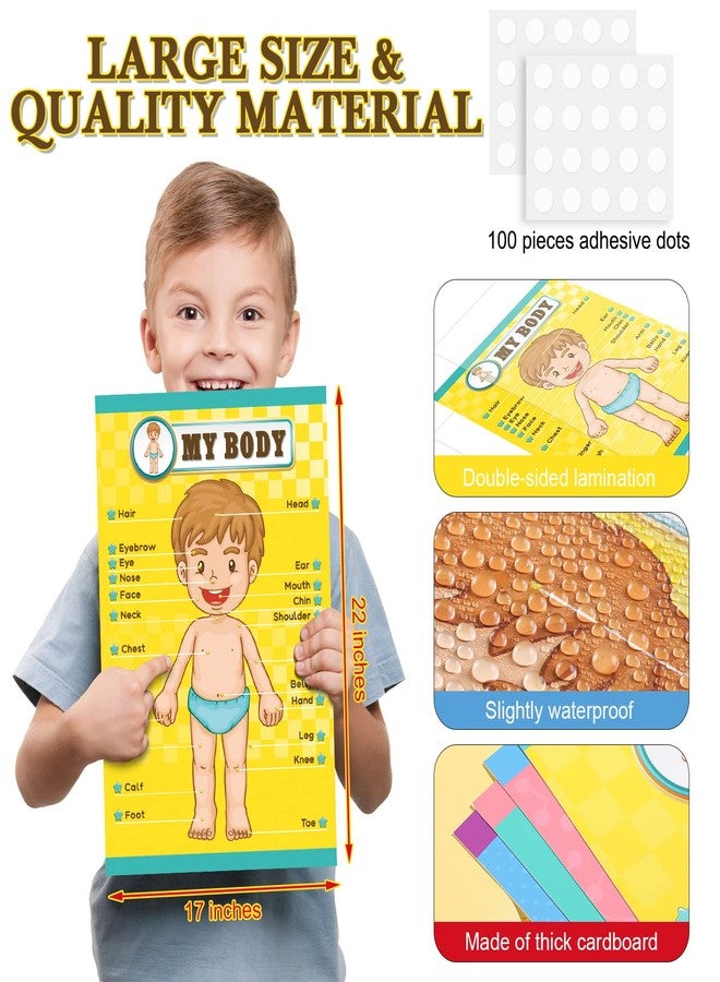 Outus Human Body Educational Learning Posters Body Parts Wall Chart 22 x 17 Inch for Kids Cartoon Anatomy Chart Large Educational Poster Preschool Kindergarten Teaching Supplies, Classroom - Image 2